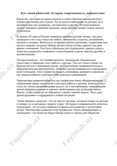 кто такой вожатый: история, современность, перспектива — DOCX
