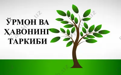 ўрмон ва ҳавонинг таркиби — PPTX
