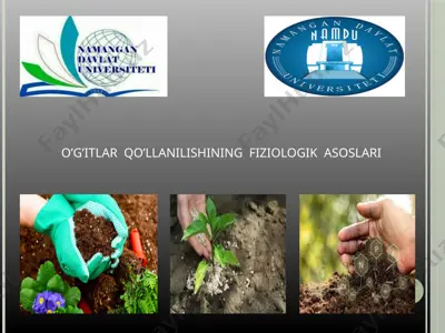 o’g’itlar qo’llanilishining fiziologik asoslari — PPTX