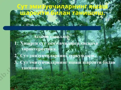 сут эмизувчиларнинг яшаш шароити билан танишиш — PPT