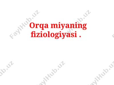 orqa miyaning fiziologiyasi — PPTX