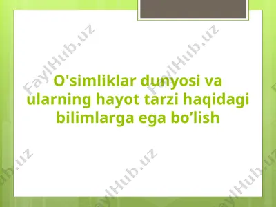 o'simliklar dunyosi va ularning hayot tarzi — PPT