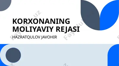 korxonaning moliyaviy rejasi — PPTX
