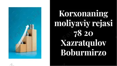 korxonaning moliyaviy rejasi — PDF