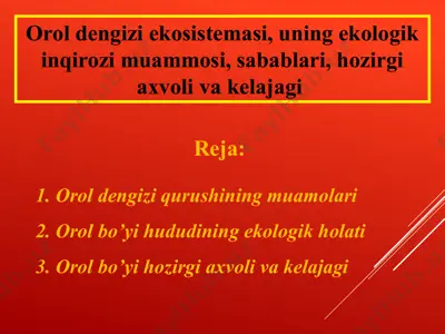 orol dengizi ekosistemasi, uning ekologik inqirozi muammosi, sabablari, hozirgi axvoli va kelajagi — PPTX