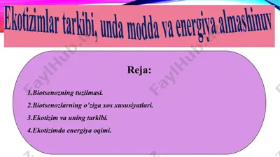 ekotizimlar tarkibi, unda modda va energiya almashinuv — PPT