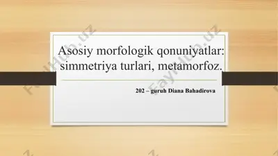 asosiy morfologik qonuniyatlar: simmetriya turlari, metamorfoz — PPTX