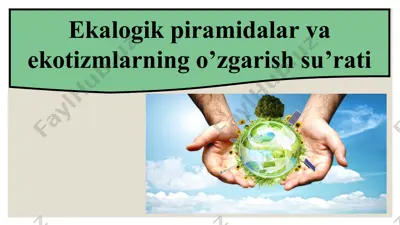 ekologik piramidalar va ekotizmlarning o’zgarish su’rati — PPT