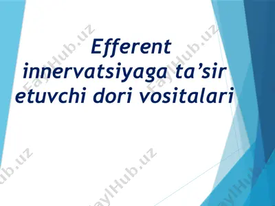 efferent innervatsiyaga ta’sir etuvchi dori vositalari — PPTX