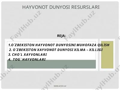 hayvonot dunyosi resurslari — PPT