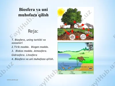 biosfera va uni muhofaza qilish — PPTX