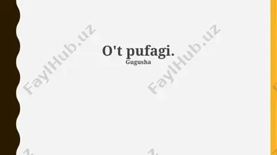 o‘pka kasalliklari va qo‘llab-quvvatlash guruhlari bo‘yicha taqdimot — PPTX