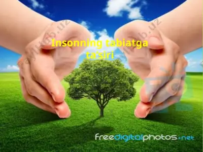 insonning tabiatga ta’siri — PPTX