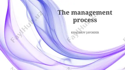 the management process — PPTX