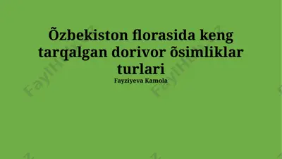 õzbekiston florasida keng tarqalgan dorivor o‘simliklar turlari — PPTX