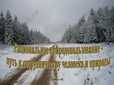 рациональное природопользование — PPT
