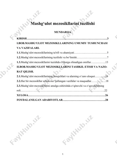 mashg‘ulot mezosikllarini tuzilishi — DOCX