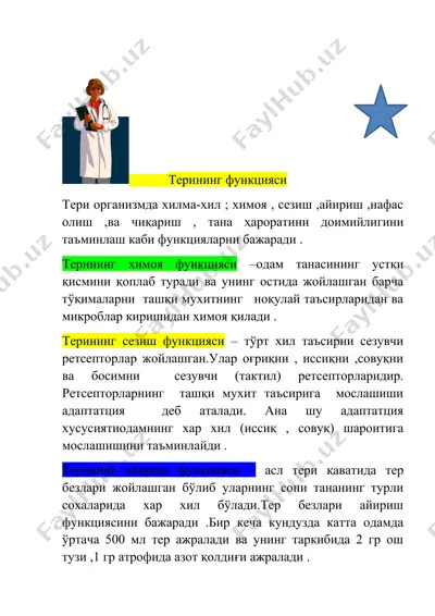 терининг функцияси — DOCX