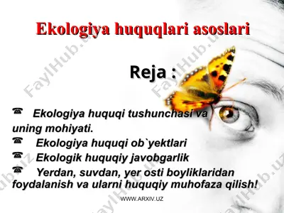 ekologiya huquqlari asoslari — PPT