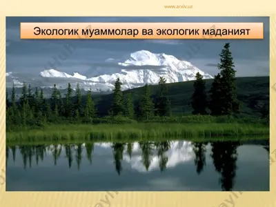 экологик муаммолар ва экологик маданият — PPTX