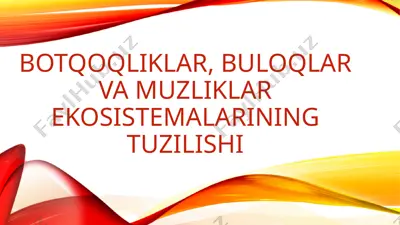 botqoqliklar, buloqlar va muzliklar ekosistemalarining tuzilishi — PPTX