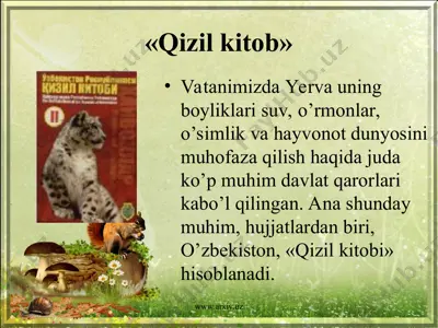 qizil kitob 3 — PPT