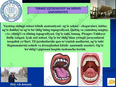 og'iz sohasi topografiyasi — PPTX