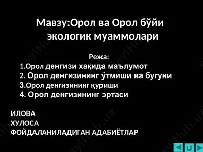 орол ва орол бўйи экологик муаммолари — PPT