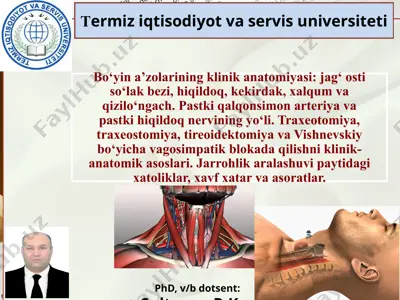 boʻyin sohasi klinik anatomiyasi — PPTX