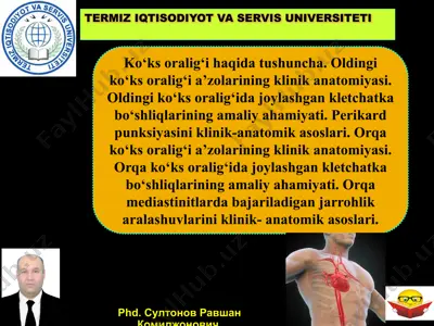 ko'ks oralig'ining klinik anatomiyasi — PPTX