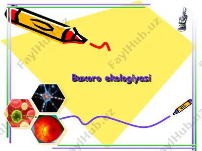 buxoro ekologiyasi — PPT