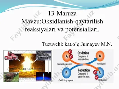 13-maruza — PPTX