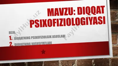 diqqatning psixofiziologiyasi — PPTX