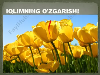 iqlimning o’zgarishi — PPTX