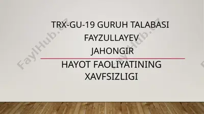 hayot faoliyatining xavfsizligi — PPTX
