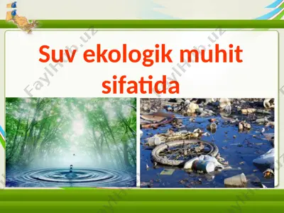 suv ekologik muhit sifatida — PPTX