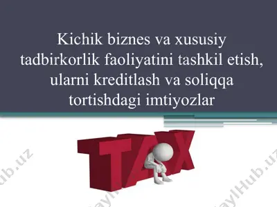 kichik biznes va xususiy tadbirkorlik faoliyatini tashkil etish, ularni kreditlash va soliqqa tortishdagi imtiyozlar — PPTX