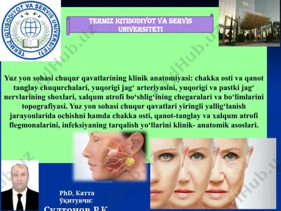 yuz yon sohasi chuqur qavatlarining klinik anatomiyasi — PPTX