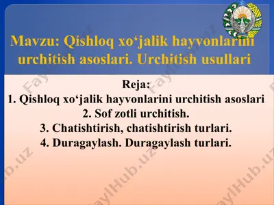 qishloq xo‘jalik hayvonlarini urchitish asoslari — PPTX