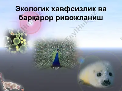 экологик хавфсизлик ва барқарор ривожланиш — PPTX