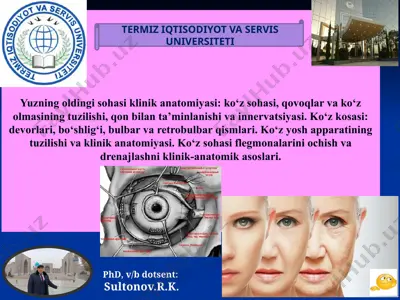 klinik anatomiyada ko‘z sohasi tuzilishi — PPTX