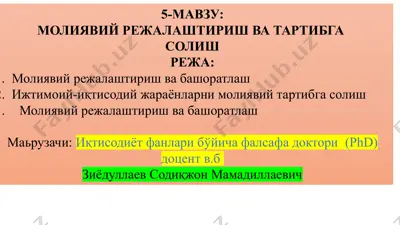 moliiaviy rejalaştirish va tartibga solish — PPTX