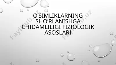o’simliklarning sho’rlanishga chidamliligi fiziologik asoslari — PPTX