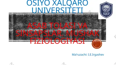 asab tolasi va sinsapslar. mushak fiziologiyasi — PPTX