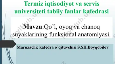 qo’l, oyoq va chanoq suyaklarining funksional anatomiyasi — PPTX