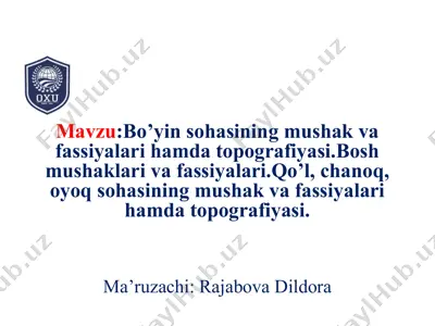 bo’yin sohasining mushak va fassiyalari hamda topografiyasi — PPTX