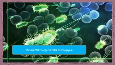 mikroorganizmlar fiziologiyasi — PPTX