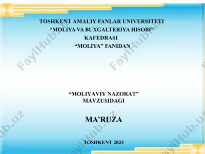 moliyaviy nazorat — PPTX