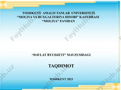 davlat byudjeti mavzusidagi taqdimot — PPTX