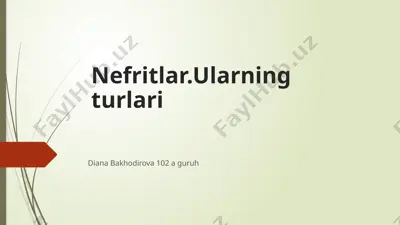 nefritlar.ularning turlari — PPTX